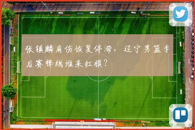 张镇麟肩伤恢复停滞，辽宁男篮季后赛锋线谁来扛旗？